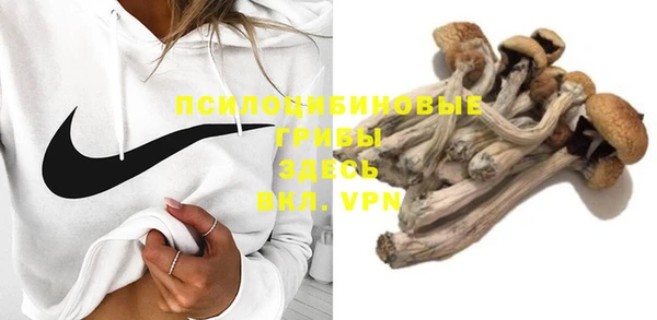 МДПВ Абдулино
